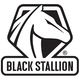 Black Stallion